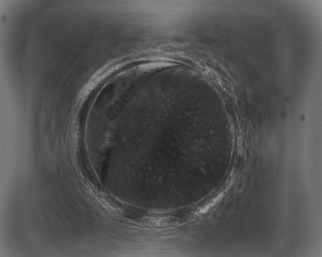 X0000087640295200705031517