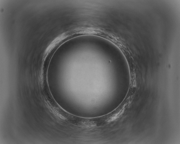 X0000087640296200705031517