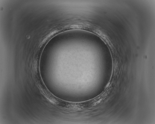 X0000087640297200705031517