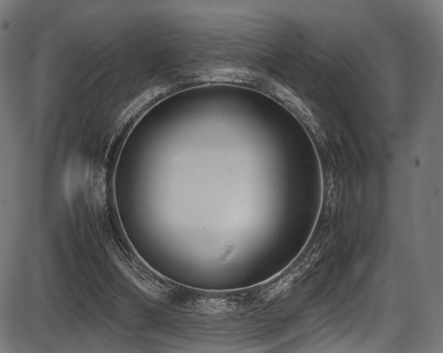 X0000087640298200705031517