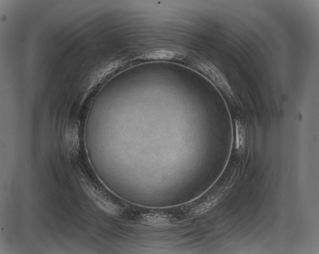 X0000087640300200705031517