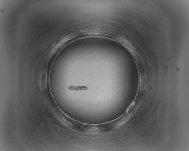 X0000087640301200705031517