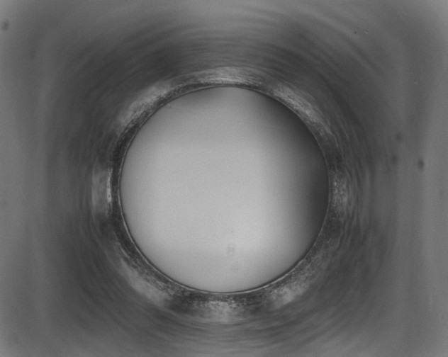 X0000087640302200705031517