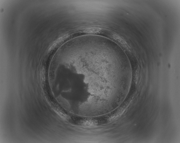 X0000087640303200705031517