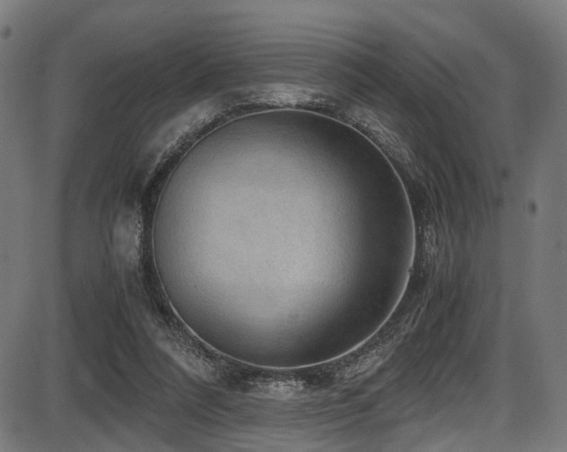 X0000087640304200705031517