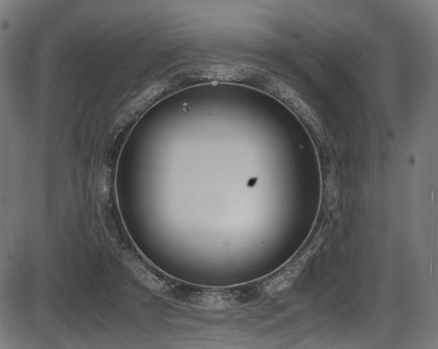 X0000087640305200705031517