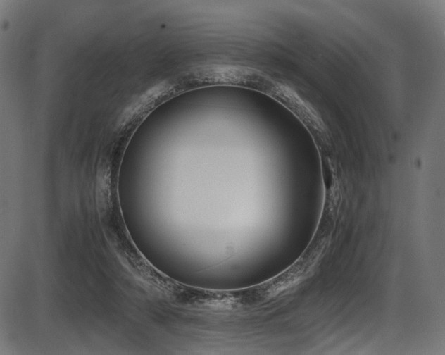 X0000087640306200705031517