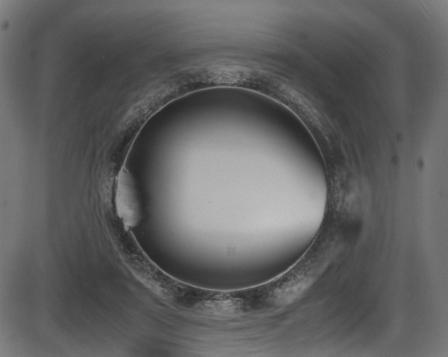 X0000087640307200705031517