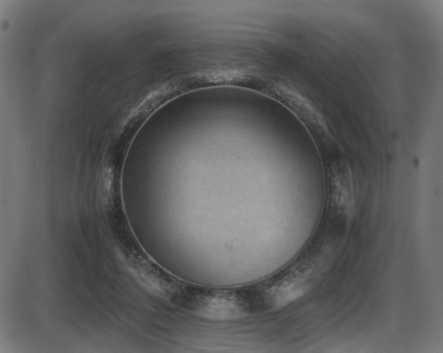 X0000087640308200705031517