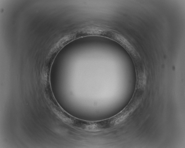 X0000087640309200705031517