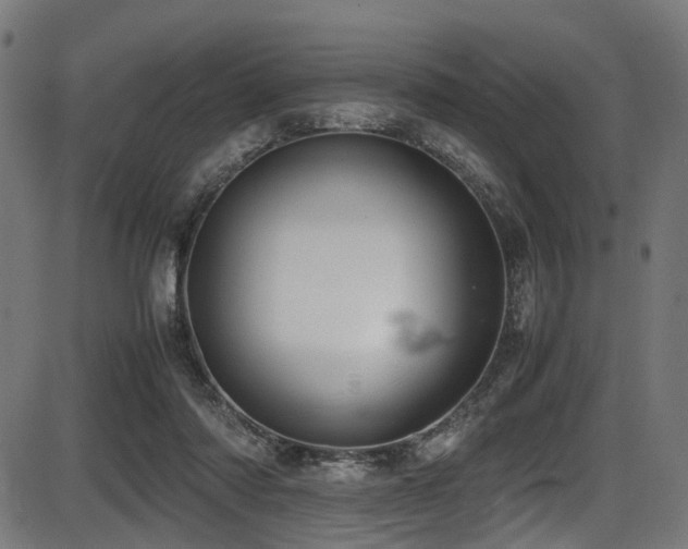 X0000087640310200705031517