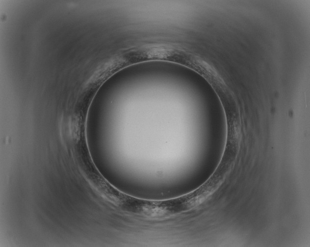 X0000087640311200705031517