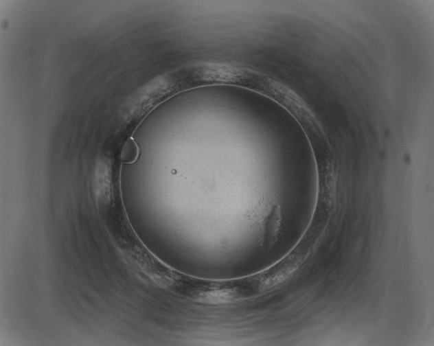 X0000087640312200705031517