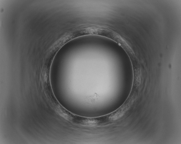 X0000087640313200705031517