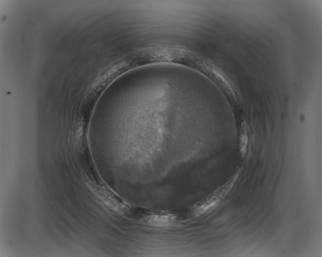 X0000087640314200705031517