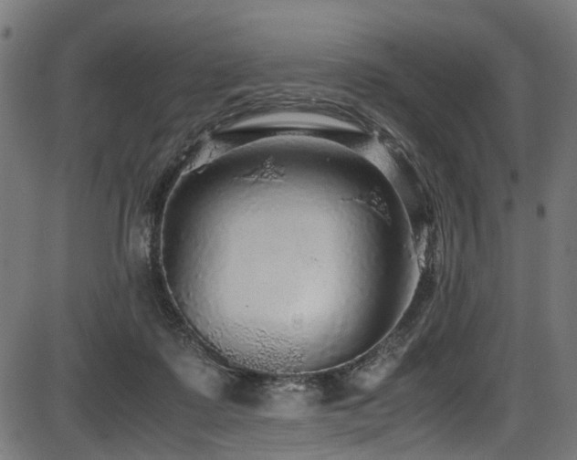 X0000087640315200705031517