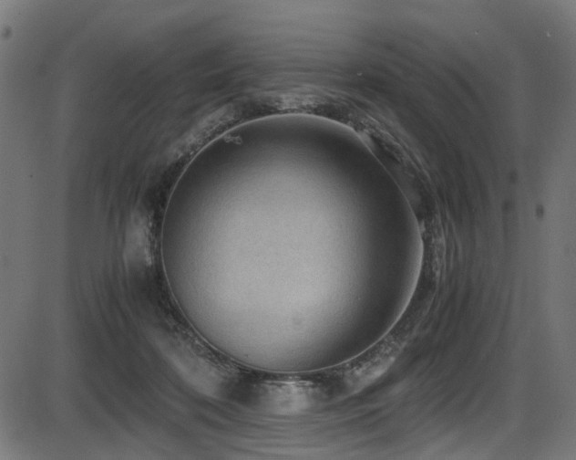 X0000087640316200705031517