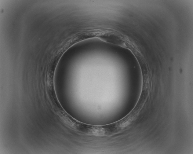 X0000087640317200705031517