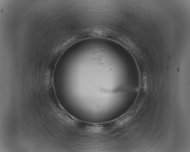 X0000087640318200705031517