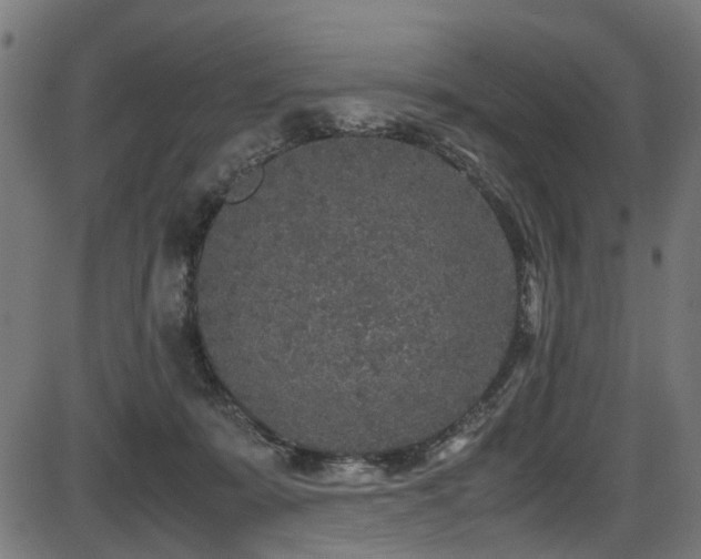 X0000087640319200705031517