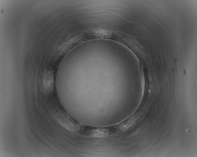 X0000087640320200705031517