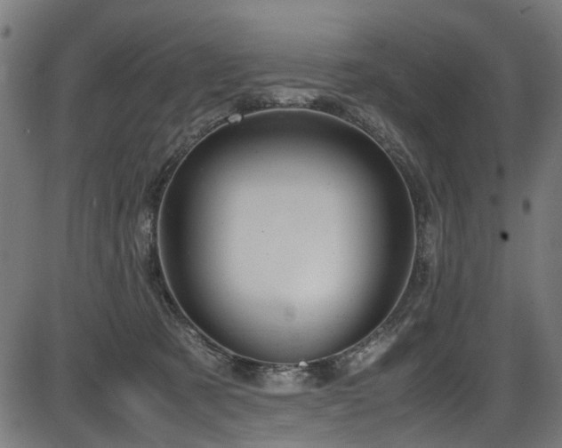 X0000087640321200705031517