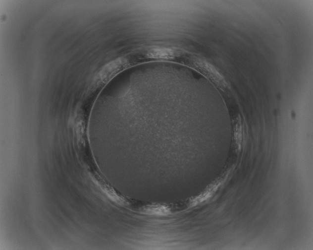 X0000087640322200705031517