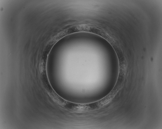 X0000087640323200705031517