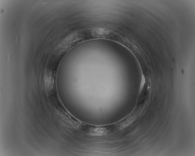 X0000087640324200705031517