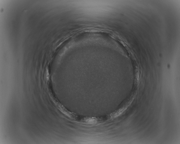 X0000087640325200705031517