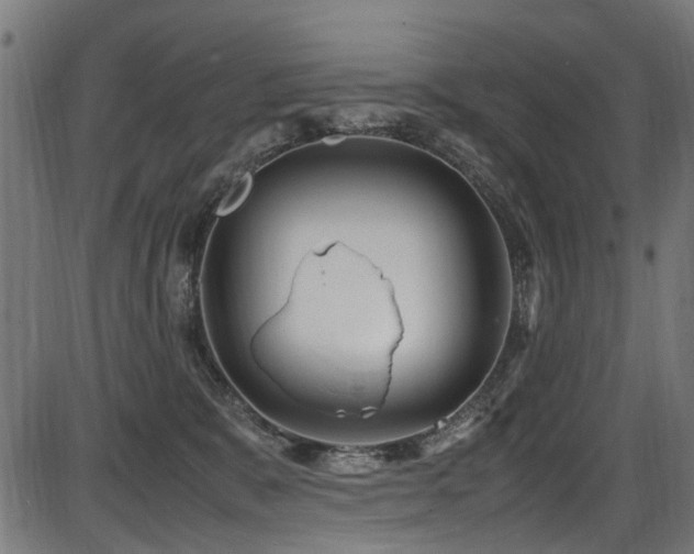 X0000087640327200705031517