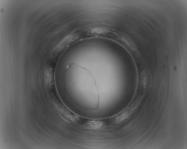 X0000087640328200705031517