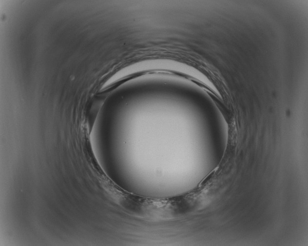 X0000087640329200705031517