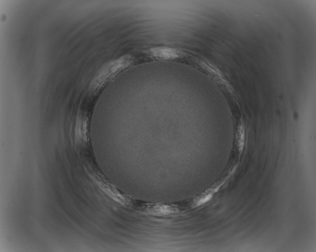 X0000087640330200705031516