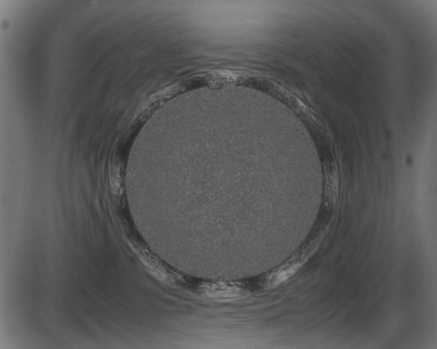 X0000087640331200705031516