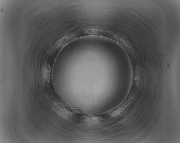 X0000087640332200705031516