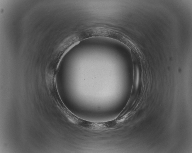 X0000087640333200705031516