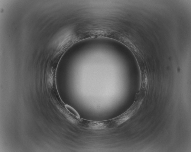 X0000087640334200705031516