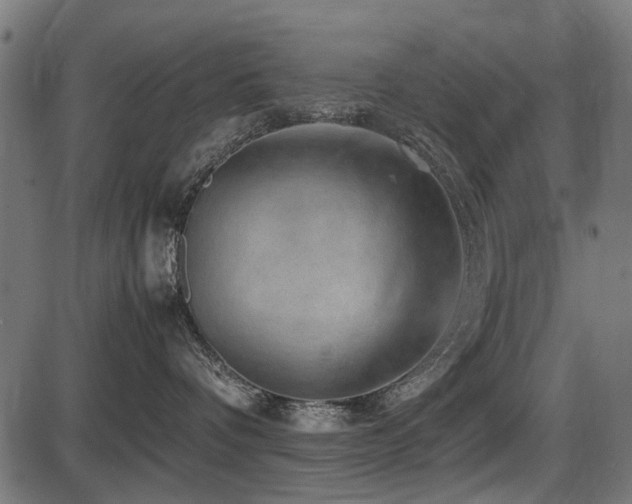 X0000087640336200705031516