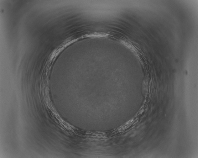 X0000087640337200705031516