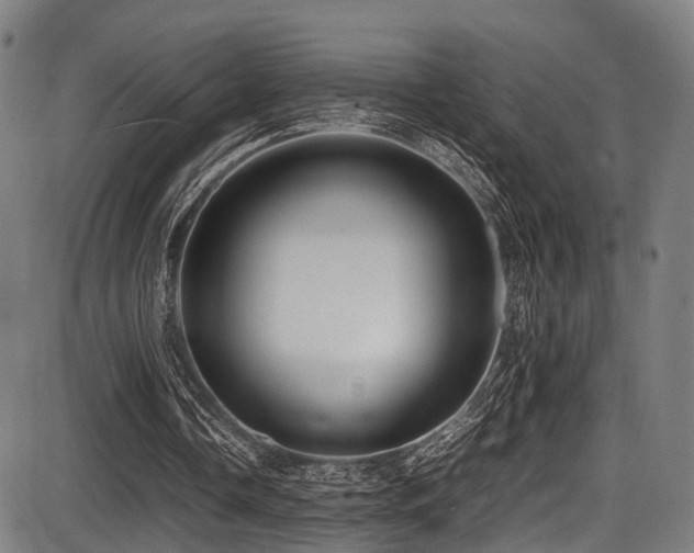 X0000087640338200705031516