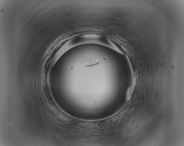 X0000087640339200705031516