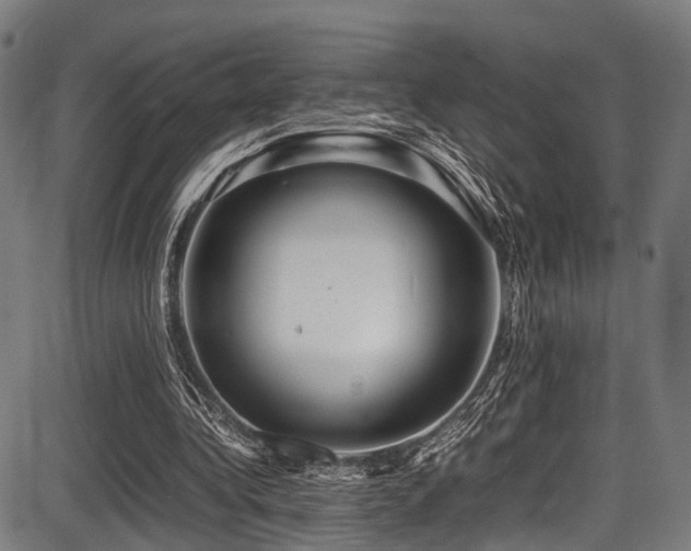 X0000087640340200705031516