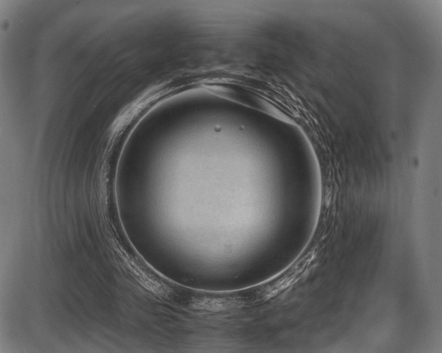 X0000087640341200705031516