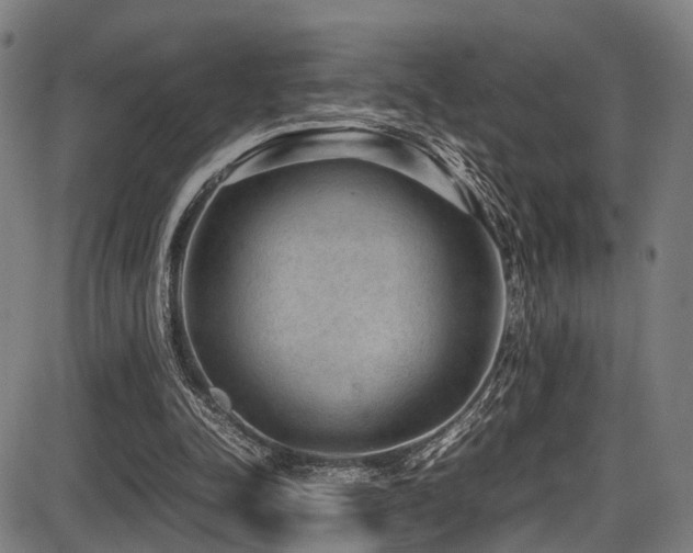 X0000087640342200705031516