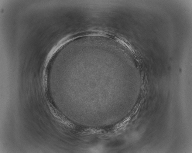 X0000087640343200705031516