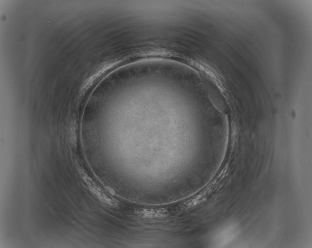 X0000087640345200705031516