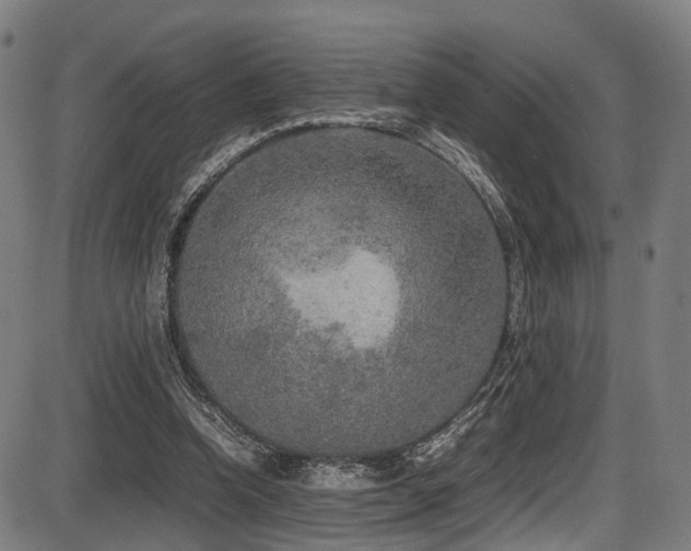 X0000087640346200705031516