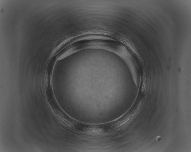 X0000087640348200705031516