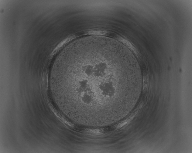 X0000087640349200705031516